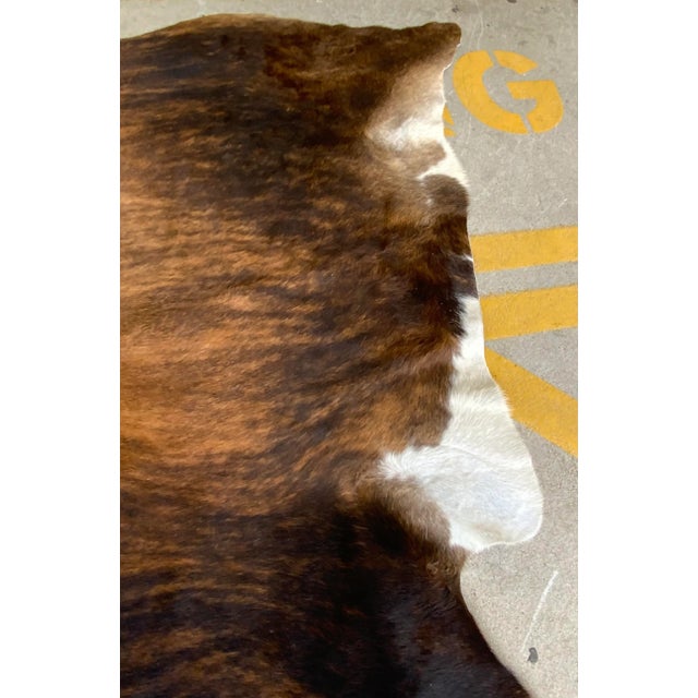 2020s Modern Brindle Hair on Hide For Sale - Image 5 of 6
