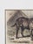 Late 19th Century Friedrich Carl Georg Specht, Dog, 1870, Original Woodcut, Framed For Sale - Image 5 of 12