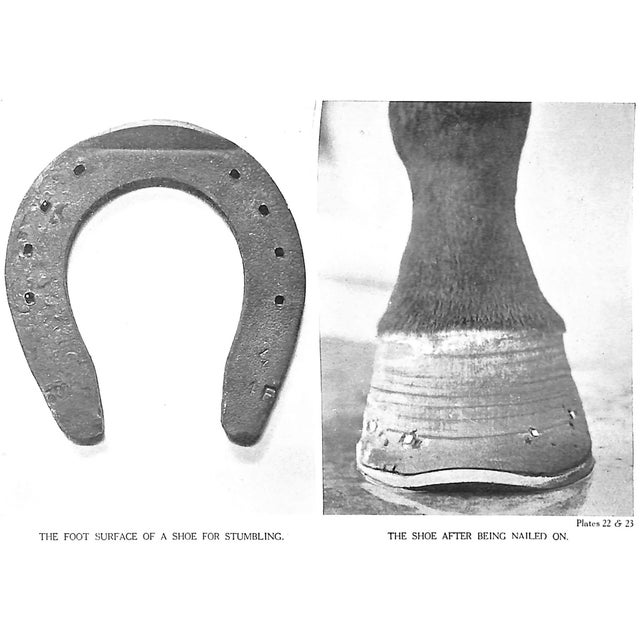 White "Horsemanship Dressage & Show Jumping" 1959 Brooke, Maj. Gen. Geoffrey For Sale - Image 8 of 12