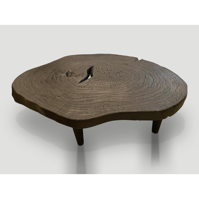 Contemporary Andrianna Shamaris Amorphous Single Slab Mid-Century Modern Coffee Table For Sale - Image 3 of 6