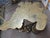 Bronze MCM Bronze Large Tree Trunk Table Base by Century Furniture Co. Grand Tour For Sale - Image 8 of 9