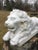 C.1880 American Cast-Iron Lion Garden Sculptures - A Pair For Sale - Image 4 of 11