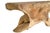 Late 20th Century Monumental Lychee Root Wood Console Table For Sale - Image 10 of 10