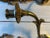 Empire Style Bronze Sconces, Set of 2 For Sale - Image 6 of 7