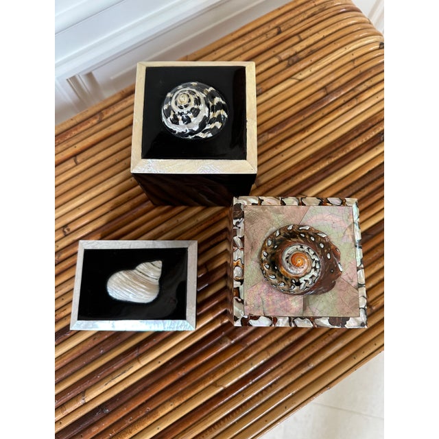 Vintage Gumps Penshell Box With Tiger Turbo Shell For Sale - Image 11 of 12