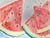 Watermelons speak “summer” to me as does a soft blue sky. This little watercolor sketch combine the two! Ready for your...