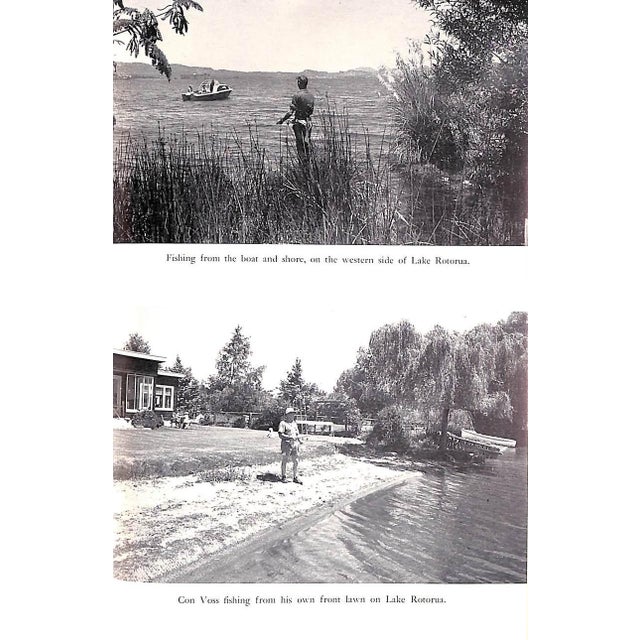 "Rotorua Trout the Fishing Lakes, Rivers and Streams of the Rotorua Conservancy, New Zealand" 1960 Gee, Frank For Sale - Image 9 of 11