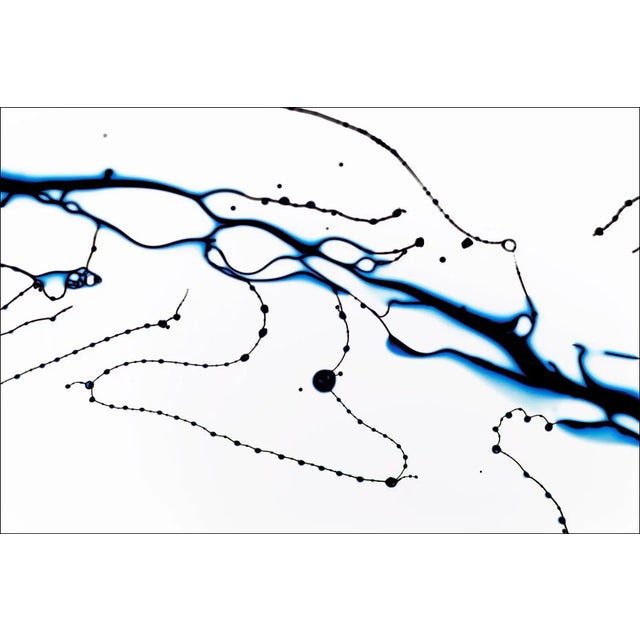 Michael Banks, Fluidity 1, 2013, Photograph For Sale - Image 4 of 4