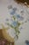 Antique a Klingenberg & Dwenger French Limoges Porcelain Floral Scalloped Plate For Sale - Image 4 of 13