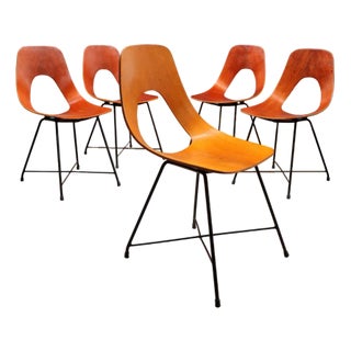 Italian Ariston Chairs in Plywood attributed to A. Bozzi for Saporiti, 1950s For Sale