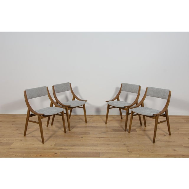 Mid-Century Modern Ski Jumper Chairs from Zamojska, Poland, 1960s, Set of 4 For Sale - Image 3 of 18