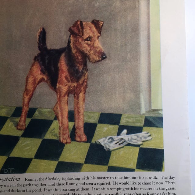 Vintage Scotch Terrier Puppies Print For Sale - Image 4 of 6