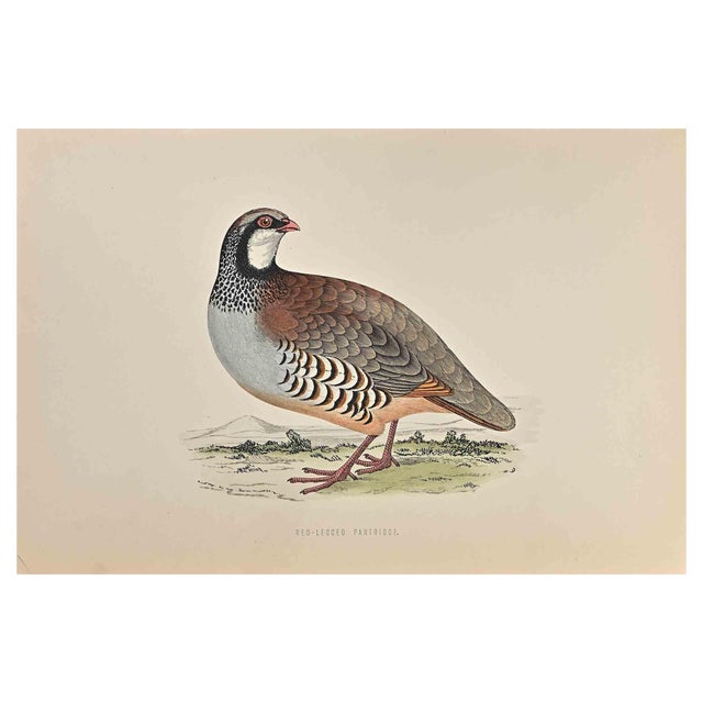 Alexander Francis Lydon, Red-Legged Partridge, Original Woodcut Print, 1870 For Sale