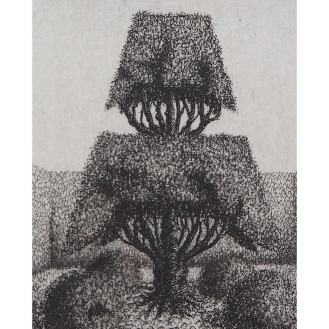 François Houtin, Topicure (Subject No. 1), 1979, Original Etching For Sale - Image 4 of 5