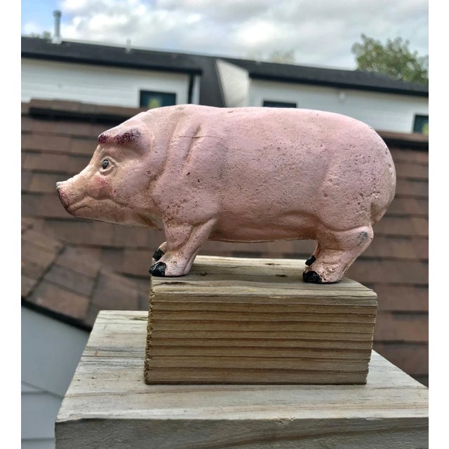 If pigs could fly? Well this one did - all the way from France (albeit in a suitcase!) Once an adornment in a fine...