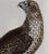 An Icelandic GyrFalcon: An 18th Century Hand-Colored Engraving by Martinet, 1770 For Sale - Image 4 of 5