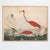 Romantic and glamorous, this antique Flamingo scene adds that special vintage charm to any room, whether in Hollywood,...