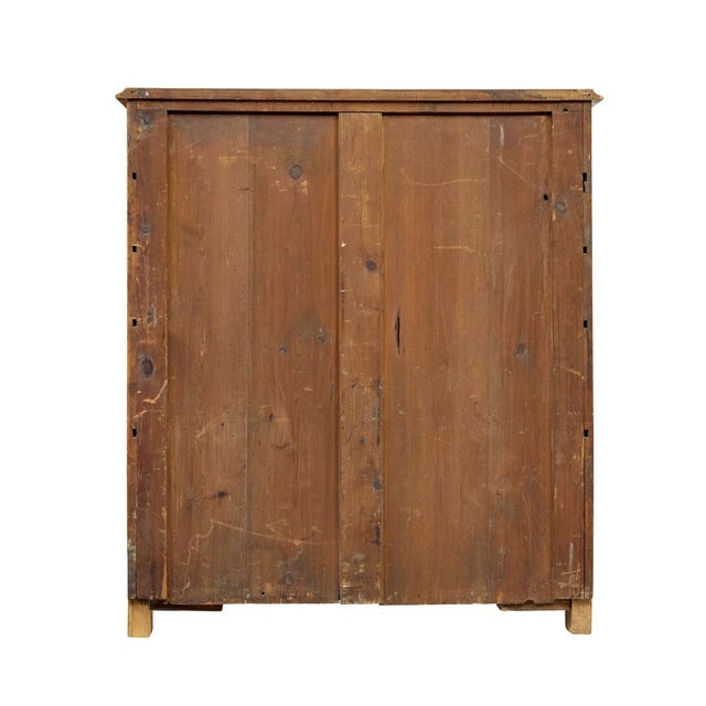 Late 19th Century 19th Century Swedish Tiger Birch Cupboard, 1870 For Sale - Image 5 of 12