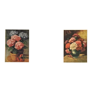 1928 Pair French Botanical Floral Botanicals, Matted
