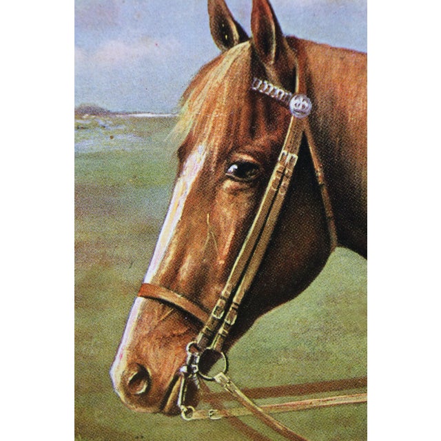 Late 20th Century Vintage Equestrian Horse Print Portrait Realism Framed Sport Hunting 17" For Sale - Image 5 of 11