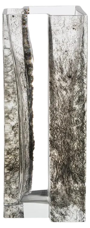 Inside the Wood Vase by Paolo Marcolongo