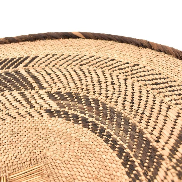 Early 20th Century Tonga Binga Basket 19.5 Inch For Sale In Denver - Image 6 of 7