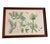 Mark Catesby "The Sweet Sop Tree" Framed Botanical Print For Sale - Image 4 of 12