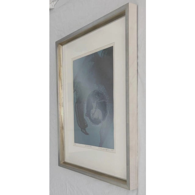 Late 20th Century A Vintage 1974 Lithograph 4/10 "The Silver Web" by East Coast Artist Elinor Anderson Bynum For Sale - Image 5 of 6