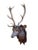 Wood Antique Black Forest Stag Deer Head Wood Carved Sculpture Carving For Sale - Image 7 of 7