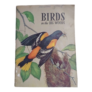 1957 Birds in the Big Woods Book by Glenn O. Blough For Sale