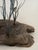 Curtis Jere Style Coastal Cattails and Driftwood Brutalist Sculpture For Sale In San Diego - Image 6 of 9