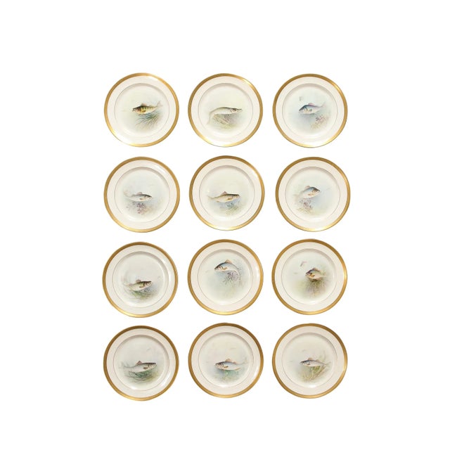 This remarkably beautiful Set of Twelve Hand-Painted Lenox Porcelain Plates signed William Morley Depicting Fish...