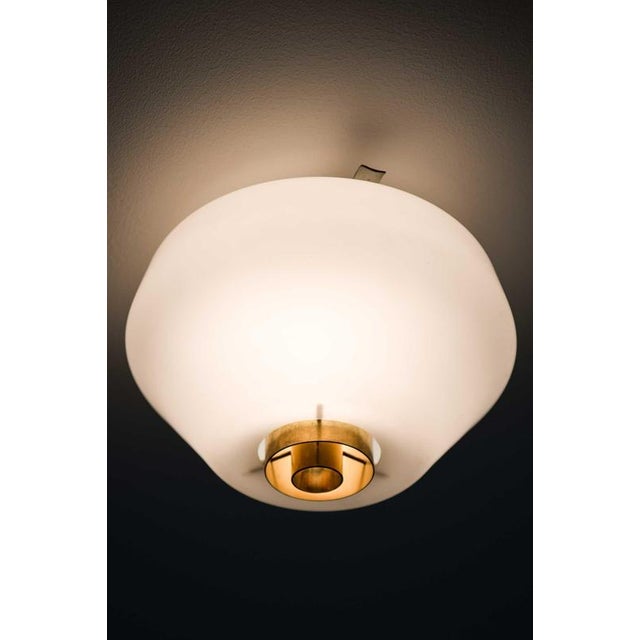 1950s Mid-Century Flush Mounts in Brass and Opaline Glass by Lisa Johansson-Pape, 1950s For Sale - Image 5 of 7