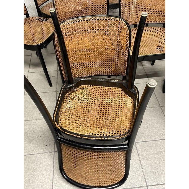 Model 811 Chairs by Josef Hoffmann for Drevounia Manufacture, 1970s, Set of 10 For Sale - Image 18 of 18