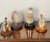 4 pcs Domed clochets 6” and 8” with marine natural history specimens- sea shells. Urchins, blowfish etc as coastal home...