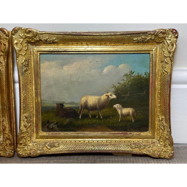 Antique Belgian Sheep Paintings Pair, Franz van Severdonck Oil on Panel Pastoral Farm Scenes Description A beautifully...