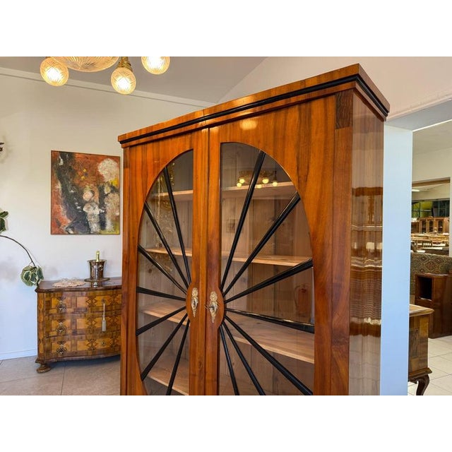 Brown Biedermeier Sun-Shaped Display Cabinet in Walnut For Sale - Image 8 of 14