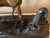 Mid 19th Century Bronze Pj Mene Arab Mare With Saddle and Rifle Sculpture For Sale - Image 13 of 16