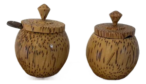 Vintage Organic Natural Coconut Wood Condiment Set