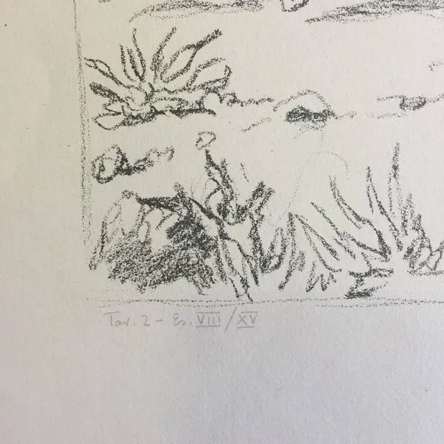 The Monarchs 1948 For Sale - Image 3 of 7