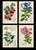 An exceptional 19th-century botanical lithograph attributed to celebrated botanical artist Walter Hood Fitch, produced for...