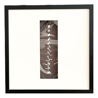 Gianni Colombo, Multiple, 1961, Plastic For Sale