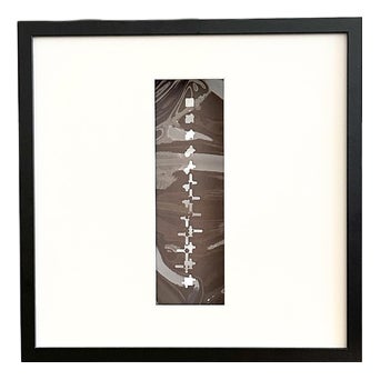 Gianni Colombo, Multiple, 1961, Plastic For Sale