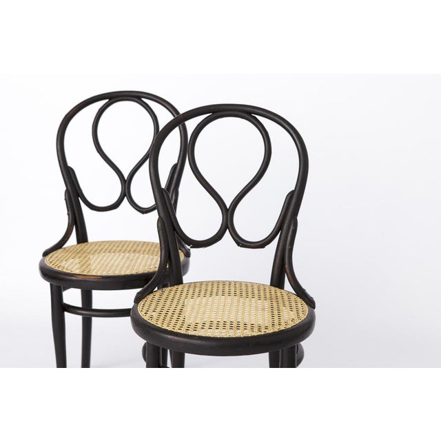 Thonet Set of No. 20 Chairs from Thonet, 1930s For Sale - Image 4 of 12