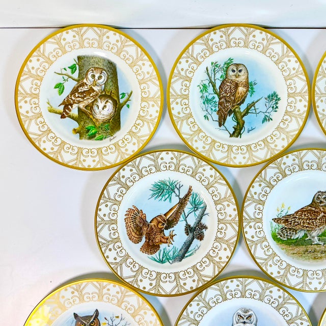1980 Vintage Arts & Crafts English Bone China Owl Dinner Plates -Set of 8. For Sale - Image 9 of 18