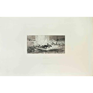 Eugene Cottin, Basse Cour, 1870s, Etching For Sale