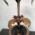 Early 20th Century Arts & Crafts Brass Rose Stem Table Lamp For Sale - Image 9 of 10