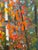 Post Impressionist Autumn River Post Impressionist Oil Painting For Sale - Image 3 of 8