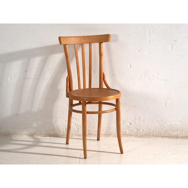 Bentwood Chairs in the style of Thonet, Central Europe, 1930, Set of 4 For Sale - Image 12 of 15