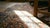 Textile 1890s Pink Rose Geometric Tribal n.w. Persian Rug 4'6" X 6' Handknotted Wool Carpet For Sale - Image 7 of 9